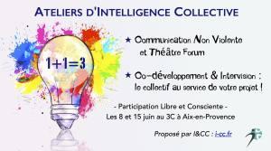 Ateliers d'Intelligence Collective